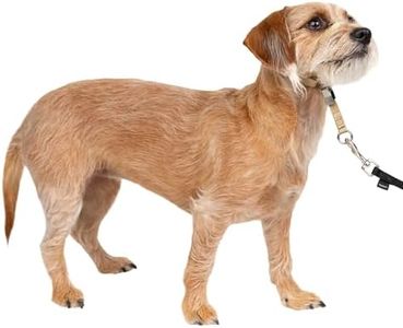 PetSafe Gentle Leader No-Pull Dog Headcollar - The Ultimate Solution to Pulling - Redirects Your Dog's Pulling for Easier Walks - Helps You Regain Control - Small, Fawn