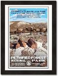 National Park Posters Petrified Forest National Park, Add Some Retro Flair To Your Home - Original Vintage National Park Decor Design by Robert B. Decker - 100% Recycled Material - Unframed - 13" x 19"