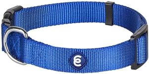 Blueberry Pet Essentials Matching Small Dog Collar | Adjustable Classic Solid Color Nylon Dog Collars for Small Dogs | Royal Blue Dog Collar for Small Dogs