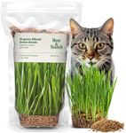 Organic Wheat Grass Seeds, Cat Grass Seeds - 16Ounces - 100% Organic Non-GMO - Hard Red Wheat, Harvested in The US. Easy to Grow Green