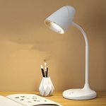 Long Desk Lamp