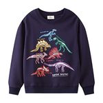 HSTiSan Toddler Boys Cotton Sweatshirt Luminous Dinosaur Pattern Pullover Sweater Long Sleeve Crewneck Tops Tee 7T