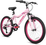 WEIZE 20 Inch Kid Mountain Bike,Kid