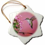 3dRose Ruby Throated Hummingbird Female at Garden Phlox Snowflake Ornament, 3"