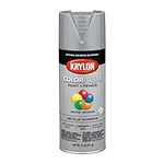 Krylon K05587007 COLORmaxx Spray Pa