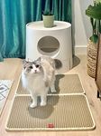 Premium Cat Litter Mat, Cat Litter Box Mat Scatter Control, Waterproof Double Layer 75 x 55 cm (30’’ × 22’’) (Beige, XL)