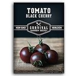 Black Cherry Tomato Seed for Planti
