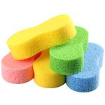 Car Wash Sponges