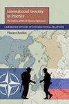 International Security in Practice: The Politics of NATO-Russia Diplomacy: 113 (Cambridge Studies in International Relations, Series Number 113)