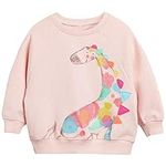 DHASIUE Kids Girls Unicorn Sweatshirt Jumper T-Shirt Cute Long Sleeve Tops Casual Cotton Tee Shirts Toddler, 1 Pink Dinosaur, Age 3-4 Years