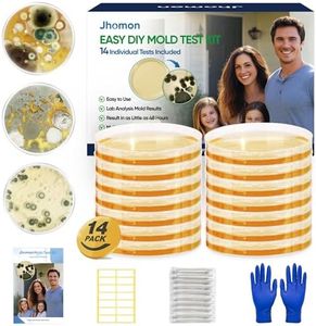 Mold Test 