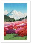 Fuji Posters