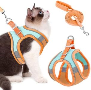 Qpets® Cat