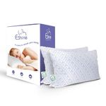 ESHINE Memory Foam Pillows Queen Size Set of 2 - Cooling Pillows, Gel Infused Cool Pillow, Silky Ice Fabric and Soft Bamboo Rayon, Breathable Queen Pillow 2 Pack, 20“x28“, CertiPUR Certified