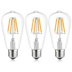 Luxvista 12V Low Voltage LED Light Bulb Screw in ST64 4W LED Filament 2700K Warm White Lamp Vintage E27 Edison Bulbs AC/DC12-36V, 400lm for RV Camper Marine Yacht Solar System,3-Pack