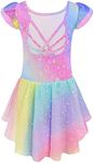 Arshiner Girls Shiny Ruffle Sleeve Ballet Leotard with Skirt Criss-Cross Back Dance Dresses