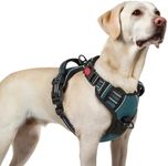 rabbitgoo Dog Harnesses for Large D