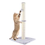 Cat Scratch Pole House