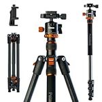 Polarduck Camera Tripod Phone Tripod Stand: Professional Travel Tripod & Monopod with 360 Ball Head & Phone Holder Mount Compatible with Sony Canon Nikon Fujifilm DSLR SLR & Smartphone (165cm/65")