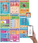 Daydream Education Applied Anatomy 