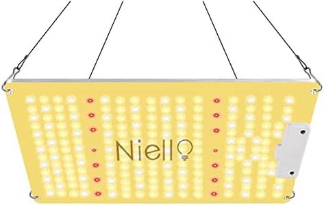 Niello QB1