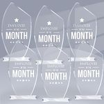 Roowest 6 Pieces Employee of the Month Sign Coworker Gifts Employee of the Month Plaque Keepsake Paperweight Workplace Acrylic Award for Appreciation Employee Office Coworkers Team Volunteer Colleague
