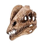 Generic Dinosaur Dilophosaurus Model Aquarium Ornament Home , White , 18cm