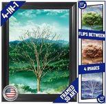 Four Seasons Tree 3D Poster Wall Art Decor Print | 14.5x18.5" | Beautiful Nature Scene of Changing Spring Colors Lenticular Posters & Pictures