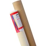 Pragati Systems® 10 Oz. Medium Grain Primed Cotton Canvas Roll for Oil & Acrylic Painting, White (72 Inch x 10 Meter)