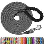 NTR Long Leash for Dog Training, 100FT Dog Leashes for Large Breed Dogs with Swivel Lockable Hook and Comfortable Padded Handle,Dog Lead Check Cord for Small Medium and Large Dogs