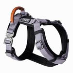 MADE TO ROAM Premium Explorer Harness - Y-Shaped Dog Harness with Adjustable Durable Nylon, Soft Padding, Metal Buckles and Leather Handle for Small, Medium, Large Dogs (Montana Moonrise, Size 5)