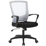 BestOffice Ergonomic Office Chair Cheap Desk Chair Mesh Computer Chair Rolling Swivel Modern Executive Chair Adjustable Stool Back Support for Women&Men, White