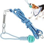Black Rhino Tetherball set for Dogs