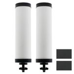 【Upgraded】Renami Ceramic Filter Silver Infused Replacement for BB9-2® Black Activated Carbon Filters, Compatible with Berkey® Travel, Large, Royal, Crown Series, Repeatable Cleaning Filters, Pack of 2