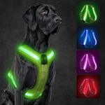 KOSKILL Light Up Dog Harness,Led Dog Harness Rechargeable,Lighted Dog Harness Glow in The Dark, LED Dog Vest Reflective,Light Up Harness for Dogs,Dog Lights for Night Walking(Green, XL)