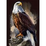 SENQAO Eagle Diamond Painting Kits for Adults, Bald Eagle Full Drill Round Diamond Painting, for Room Decor Bedroom Decor Or Birthday Gift for Friends 30x40cm