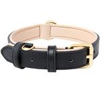 Black Leather Collar