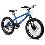 JOYSTAR 20 Inch Kids Moutain Bike for Boys Girls Ages 7-12 Year Old Shimano 7-Speed and Dual Disc Brake 20 Inch Fat Tire Boy Bike Kids' Bicycle Blue