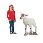 Lamb Nativity Cardboard Stand-Up - 28.25" x 38" | White | 1 Pc.