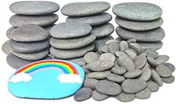 lifetop 120PCS Painting Rocks, DIY 