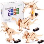 Dinosaur STEM Kits for Kids Ages 6-8-10-12, 4 in 1 Stem Projects, Wood Building Toys for Boys Age 8-12, Build It Yourself Woodworking Kit, DIY 3D Wooden Puzzles Model Science Kit, Craft Kits for Kids