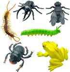 SUPER TOY 6 Insect Animal Action Figure Bug Toys Educational Play Set for Kids Birthday Gift (Assorted Insects)