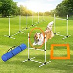 Pet Scene 5PCS Dog Agility Equipmen