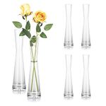 Tall Thin Vase for Flower: Hewory 24cm Single Stem Vase Glass Flower Vase, Modern Clear Glass Vases Decorative Tall Vase, Narrow Bud Vase Small Vases For Flowers Living Room Wedding Home Decor, 6pcs