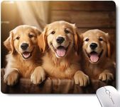 Cute Dog Mouse Pad,Three Adorable G