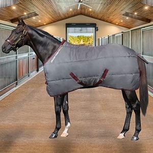 Horses Man