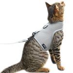 Cat Harness and Leash for Walking Escape Proof Breathable Mesh Fabric, Solid Grey, Extra Large, Adjustable Cat Walking Jackets, Padded Stylish Cat Vest