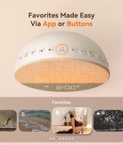 Dreamegg Sunrise Alarm Clock – Wake Up Light with Sunrise Simulation