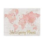 Trademark Fine Art Across the World Shes Going Places Pink by Sue Schlabach, 14x19