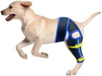 Eledume Knee Brace for Dogs with Cr
